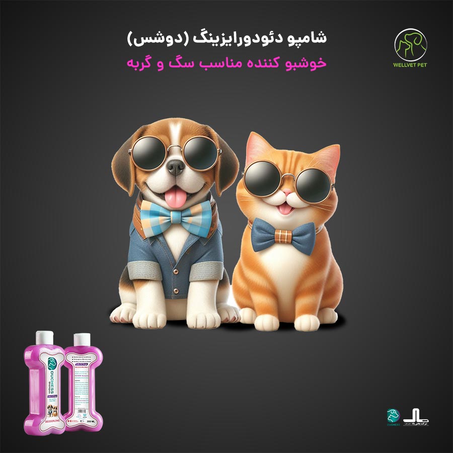 شرکت پخش پاد پت سگ گربه غذای خشک